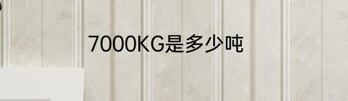 7000KG是多少吨