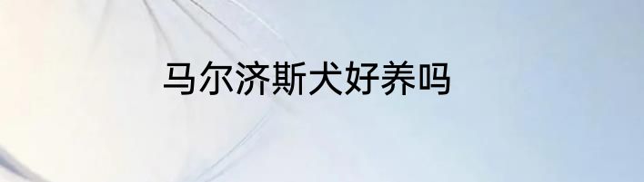 马尔济斯犬好养吗