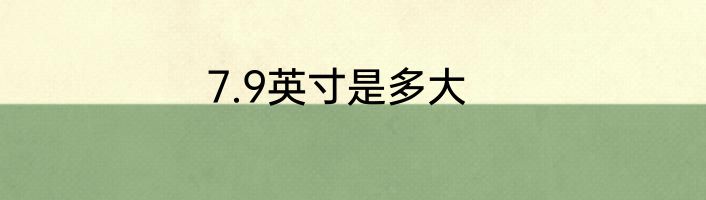 7.9英寸是多大
