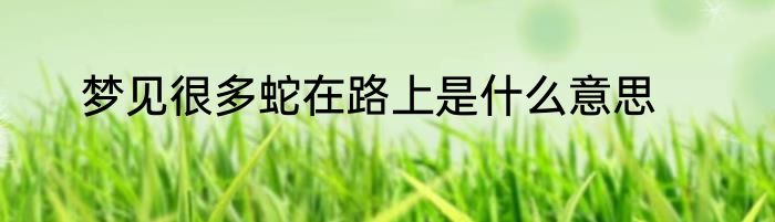 梦见很多蛇在路上是什么意思