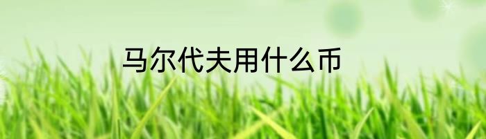 马尔代夫用什么币