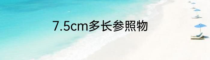 7.5cm多长参照物