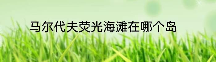 马尔代夫荧光海滩在哪个岛