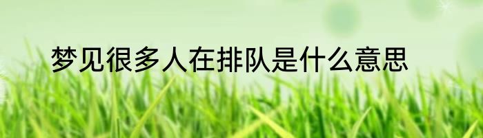 梦见很多人在排队是什么意思
