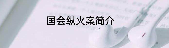 国会纵火案简介