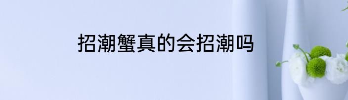 招潮蟹真的会招潮吗