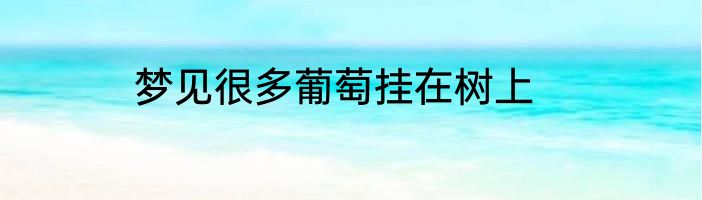 梦见很多葡萄挂在树上