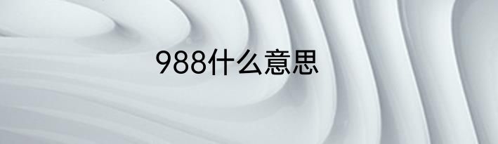 988什么意思