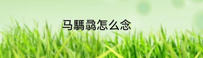 马騳骉怎么念