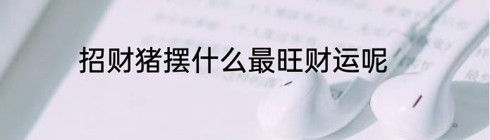 招财猪摆什么最旺财运呢