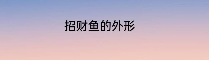 招财鱼的外形
