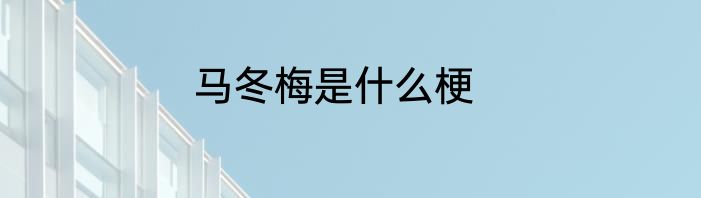 马冬梅是什么梗