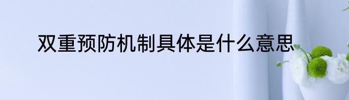 双重预防机制具体是什么意思
