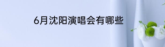6月沈阳演唱会有哪些