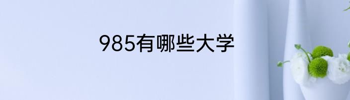 985有哪些大学