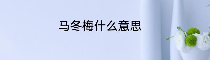马冬梅什么意思