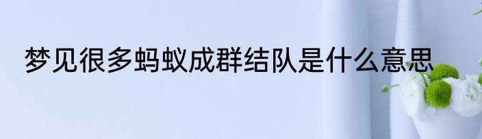梦见很多蚂蚁成群结队是什么意思