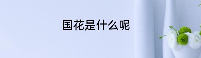 国花是什么呢