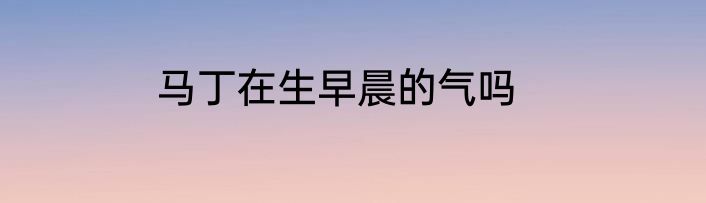 马丁在生早晨的气吗
