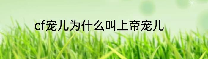 cf宠儿为什么叫上帝宠儿