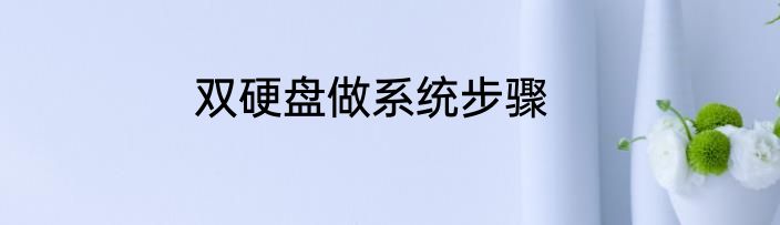 双硬盘做系统步骤