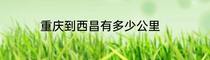 重庆到西昌有多少公里