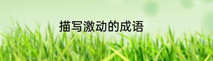 描写激动的成语