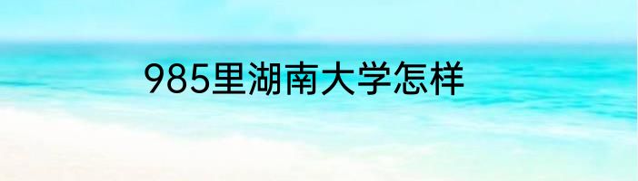 985里湖南大学怎样