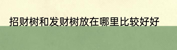 招财树和发财树放在哪里比较好好