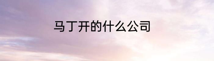 马丁开的什么公司