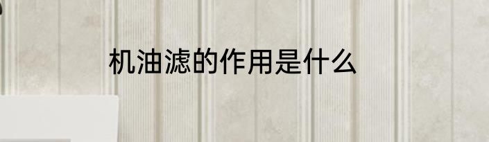 机油滤的作用是什么
