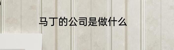马丁的公司是做什么
