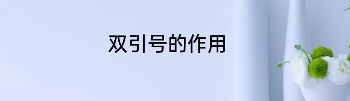 双引号的作用