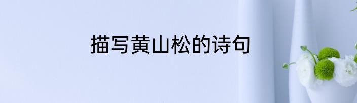 描写黄山松的诗句
