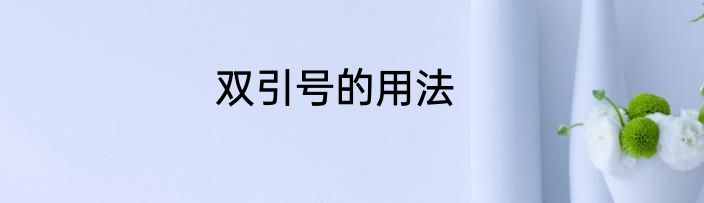 双引号的用法