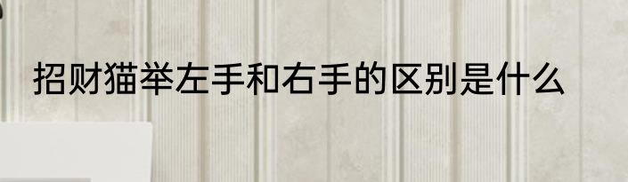 招财猫举左手和右手的区别是什么