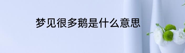 梦见很多鹅是什么意思