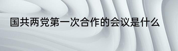 国共两党第一次合作的会议是什么