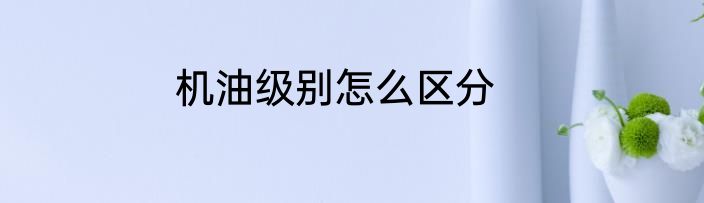 机油级别怎么区分