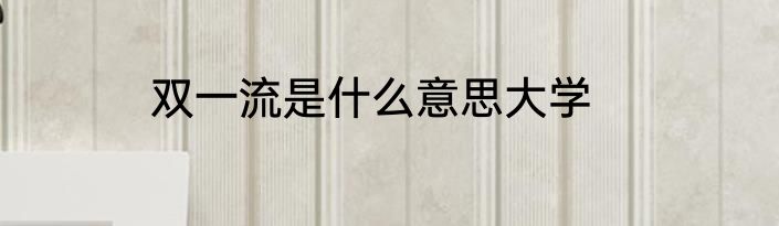 双一流是什么意思大学