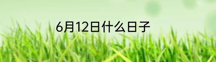 6月12日什么日子