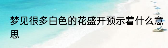 梦见很多白色的花盛开预示着什么意思
