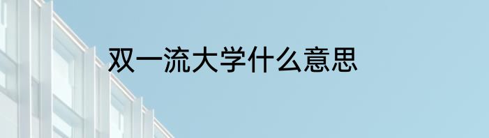 双一流大学什么意思