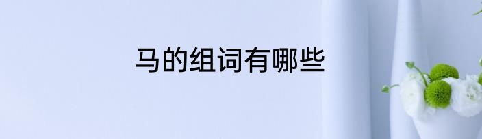马的组词有哪些