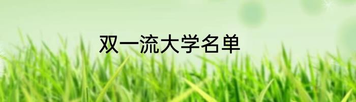 双一流大学名单