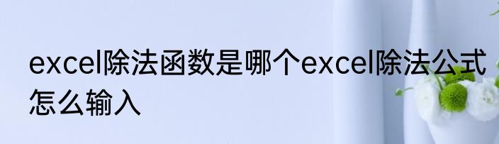 excel除法函数是哪个excel除法公式怎么输入