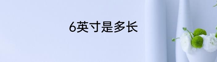6英寸是多长