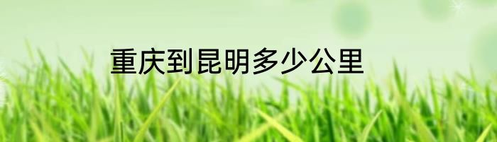 重庆到昆明多少公里