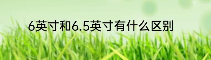 6英寸和6.5英寸有什么区别