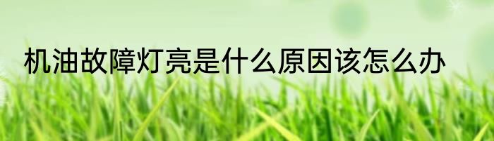 机油故障灯亮是什么原因该怎么办